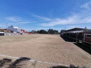 Atractivos cambios para el campo Las Caritas