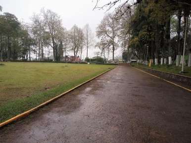EMBELLECEN LA ALAMEDA AGUSTIN CHICUÉLLAR