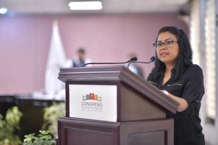 Piden al TEV y OPLE emitir medidas de protección ante casos de violencia de género