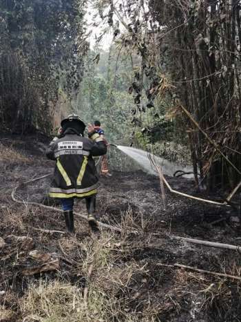 Sofocan fuego personal de Protección Civil Municipal, en el pastizal de la  3 Sur entre avenidas 13 y 15