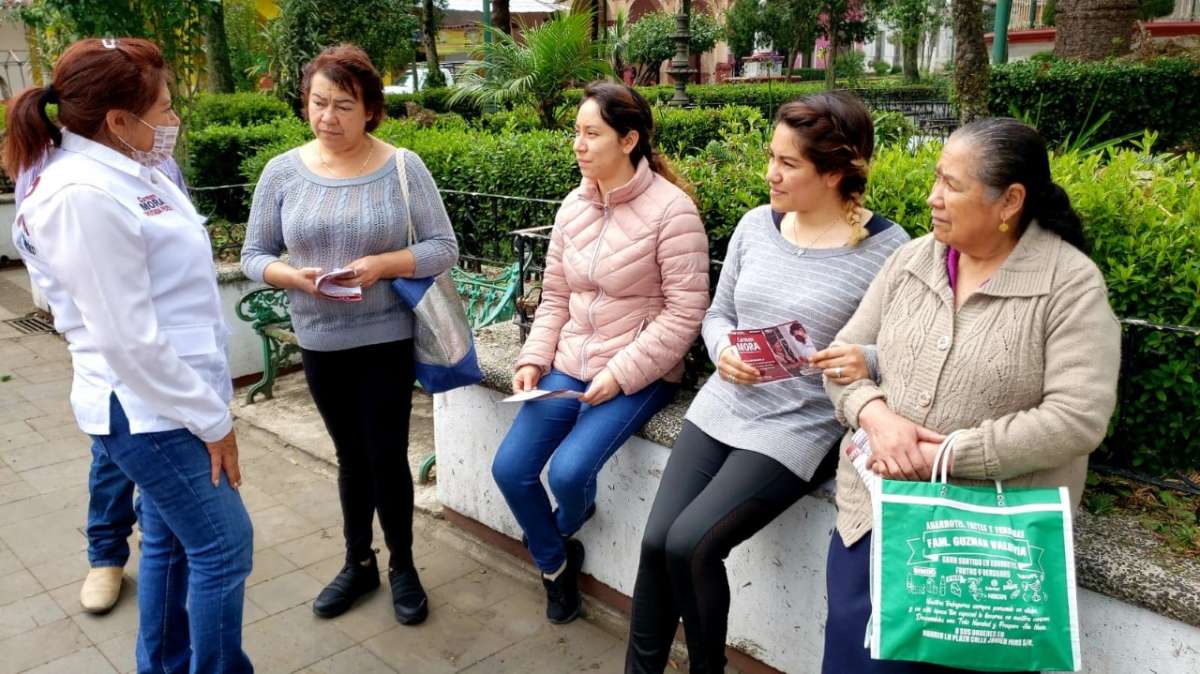 MORENA es ejemplo de honestidad, trabajo y resultados: Carmen Mora.