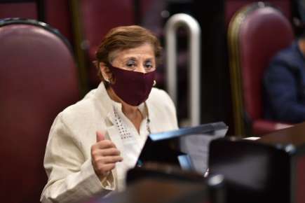 xhorta Congreso a ayuntamientos a que emitan reglamentos de protección animal   