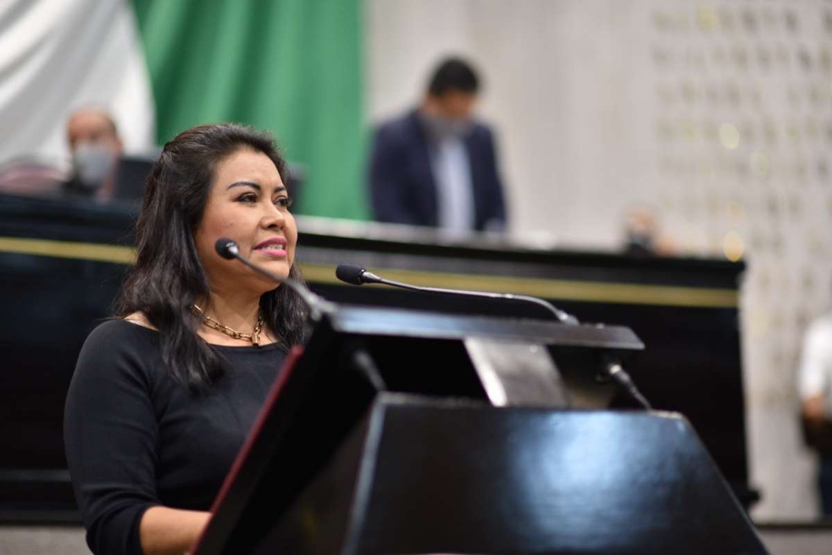 Propone diputada Deysi Juan Antonio ajustar funciones del INVEDEM