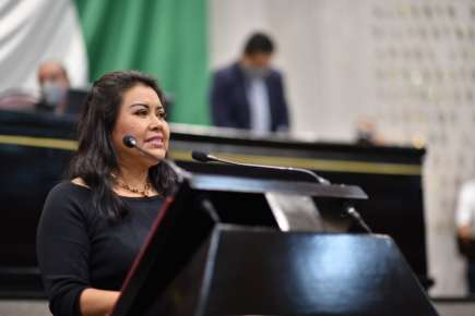 Propone diputada Deysi Juan Antonio ajustar funciones del INVEDEM