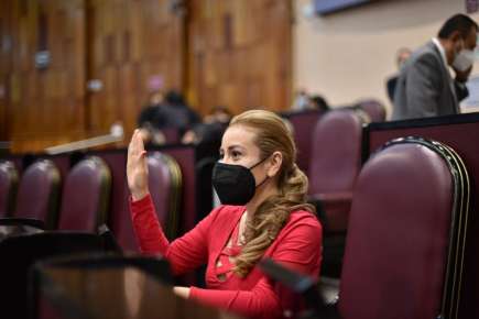 Inocuidad en cafetales y capacitación a productores, pide Congreso Local