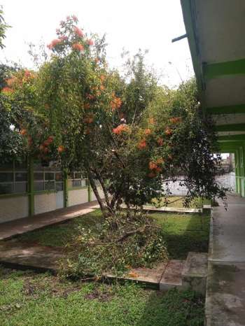 Trabajamos para dar bienestar a todos los habitantes de Huatusco.