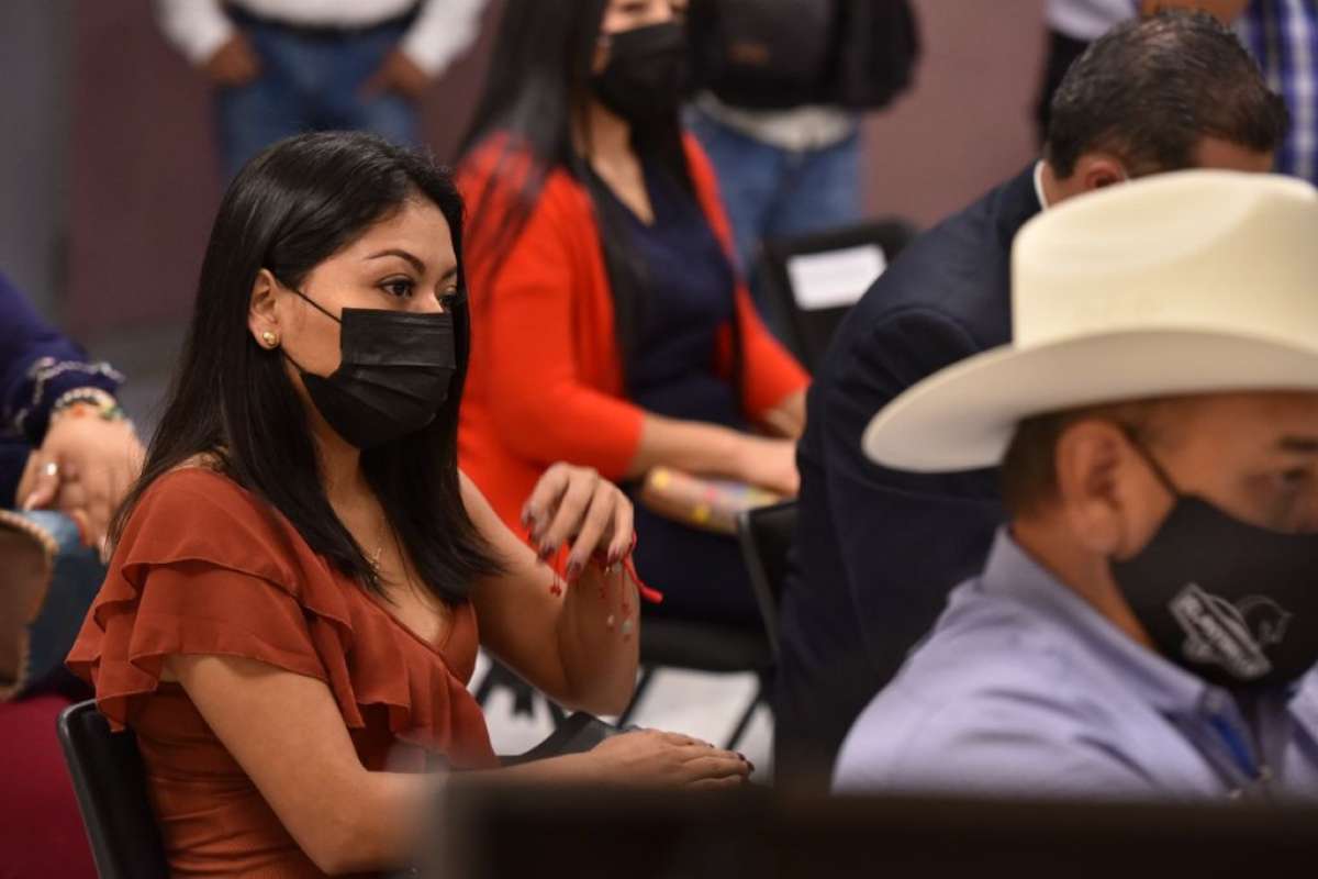 Comisión Especial para Problemática de la Desaparición de Personas, sería permanente