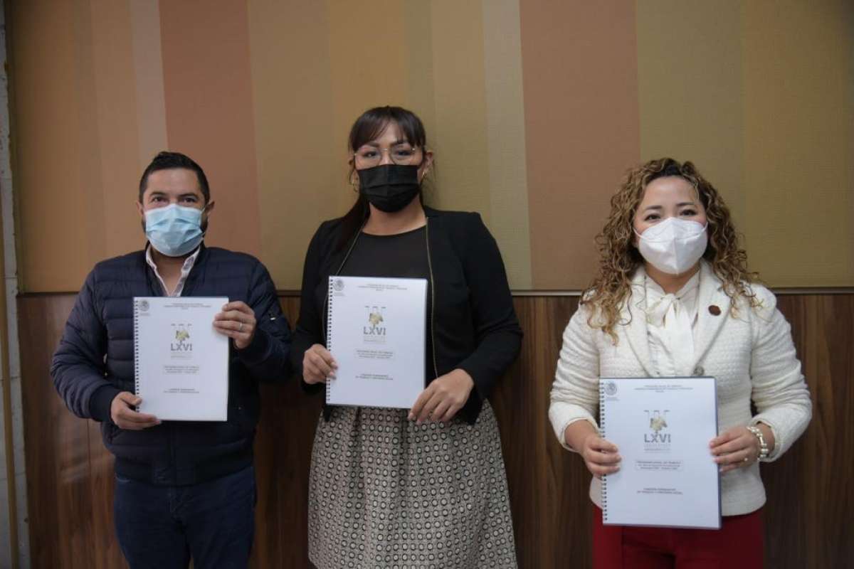 Aprueba Comisión de Trabajo y Previsión Social su plan anual de actividades   