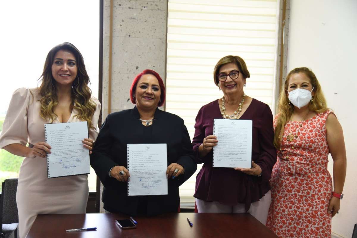 Aprueba Comisión de Salud y Asistencia su Programa Anual de Trabajo