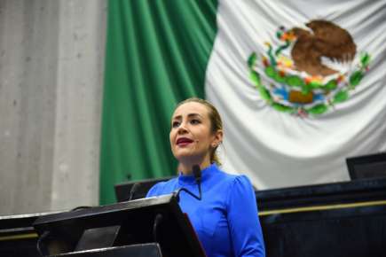 Tendría Veracruz Ley de Apoyo a Madres Jefas de Familia