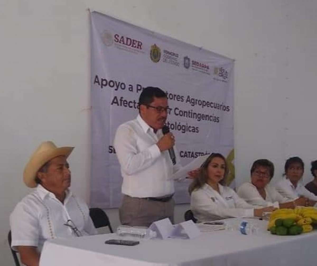 Seguro agrícola permite a productores reponerse de fenómenos climáticos devastadores: Maleno Rosales