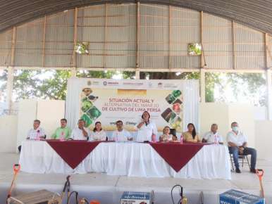 Impulsaremos la citricultura veracruzana a nivel nacional e internacional: Adriana Esther Martínez