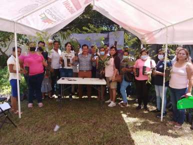 Reforestar ayudará a contrarrestar efectos del cambio climático: Magdaleno Rosales