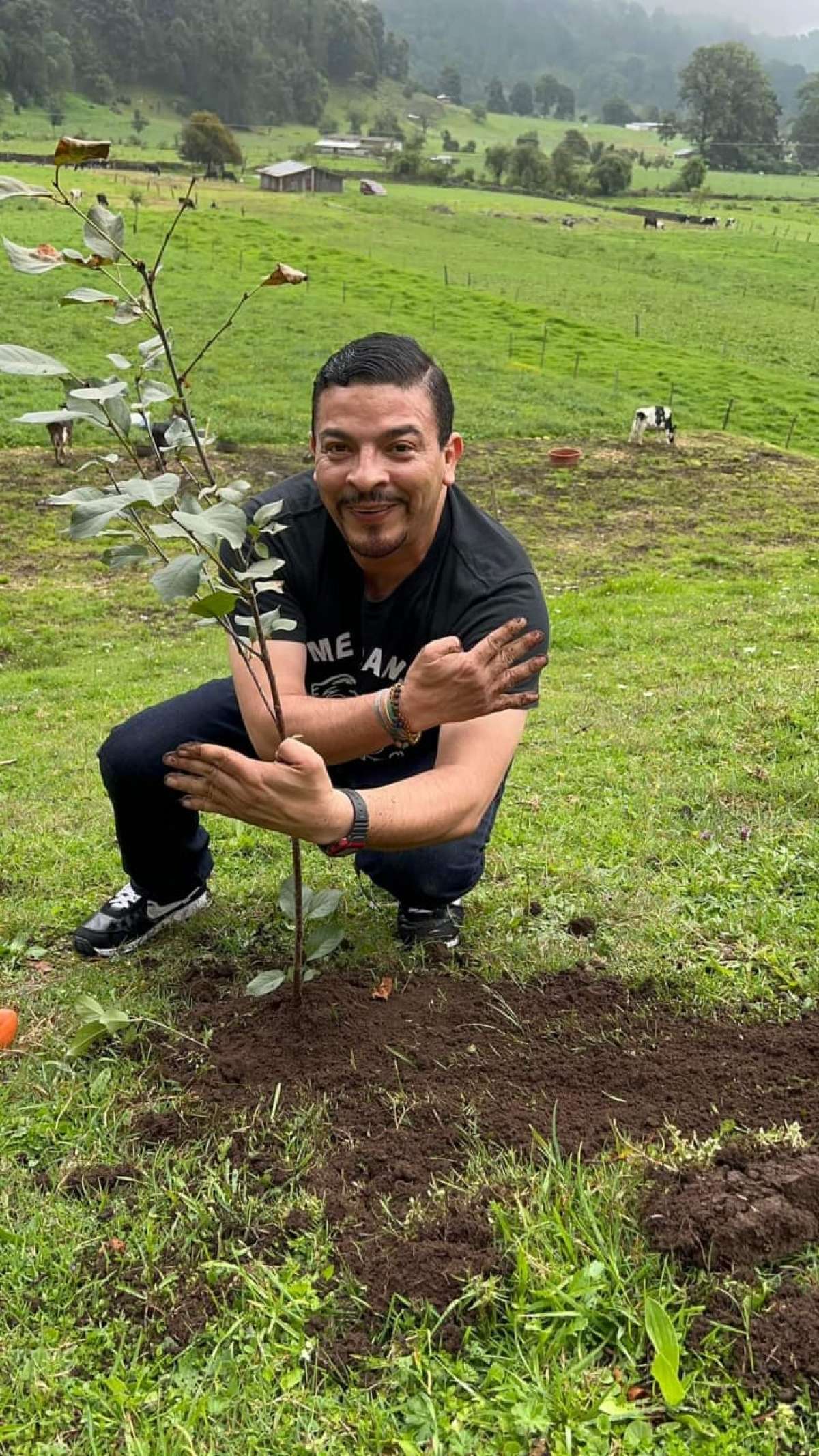 Reforestar incrementará la captación de agua en el estado: Gómez Cazarín