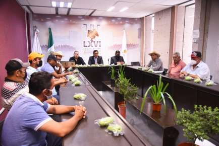 Asegura Diputado respaldo a productores de chayote del estado