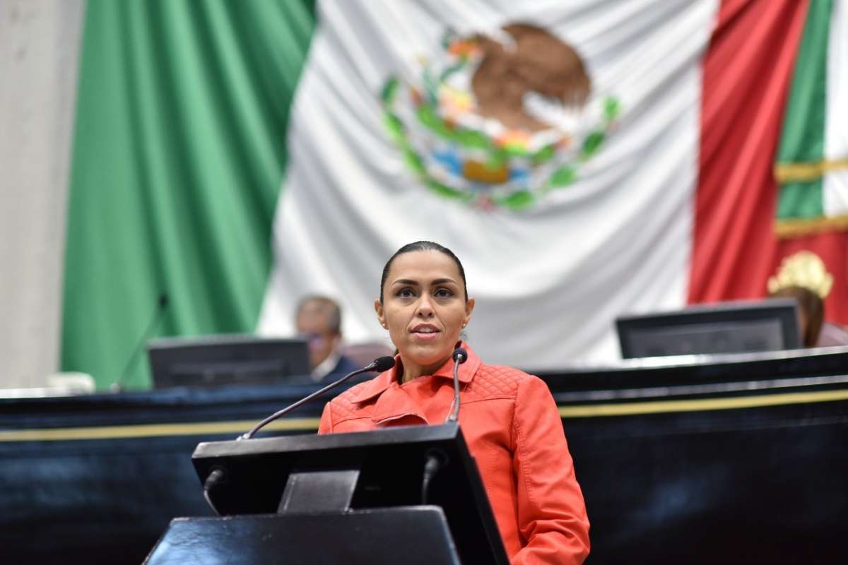 Pide diputada que bajen tarifas de energía eléctrica para Veracruz