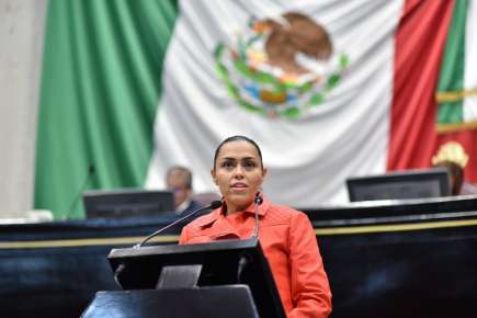 Pide diputada que bajen tarifas de energía eléctrica para Veracruz