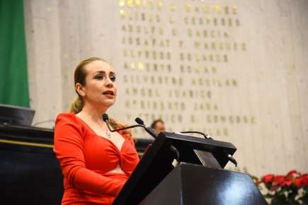 Ante baja del precio, llama Diputada a apoyar a cafeticultores veracruzanos