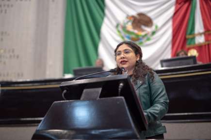Propone Diputada crear Comisión de Protección y Bienestar Animal