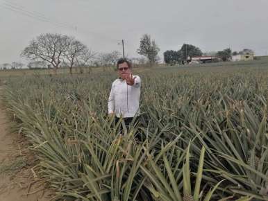 Con suma de acciones, 2023 será el año de la agricultura en Veracruz: Maleno Rosales Torres