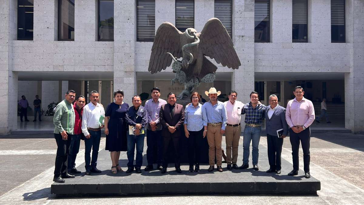 Continúa análisis para consolidar una ley que beneficie a aguacateros   