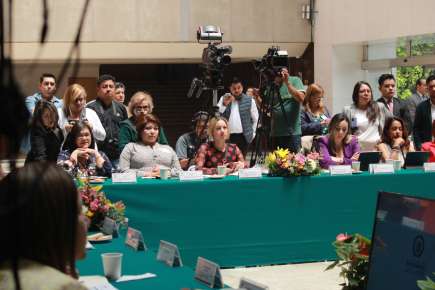Participa Diputada en reunión de presidentas de comisiones de género del país   