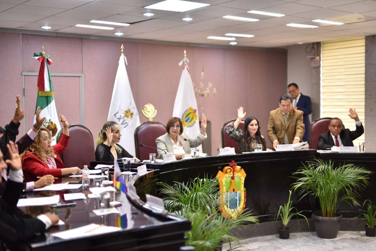 Hará Comisión de Derechos Humanos consulta a personas con discapacidad