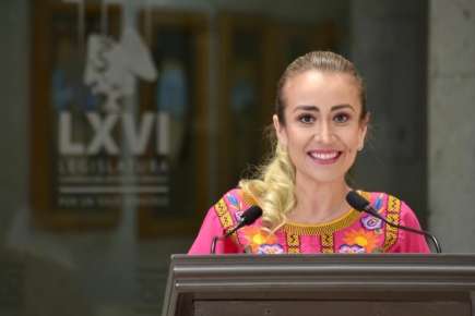 Veracruz aporta experiencia a Ley Federal de Fomento a la Caficultura: Nora Lagunes