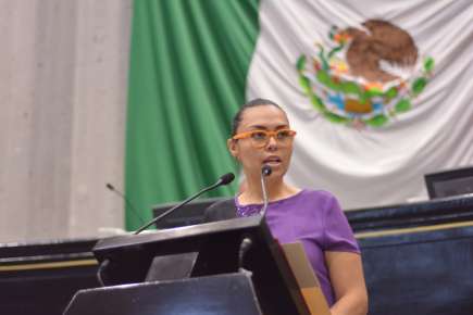 Incorporarían la discapacidad orgánica a la Ley   