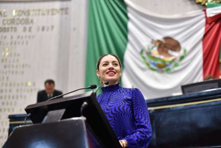 Plantea Diputada atribuciones locales para evitar contaminación visual
