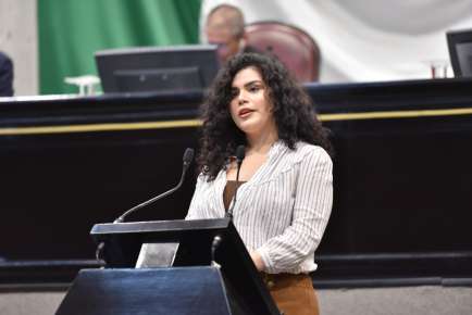 Propone Diputada que Poder Judicial cuente con Portal de Servicios en Línea   