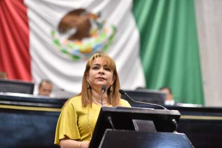 Urge Diputada medidas de protección a animales en carreteras del estado   