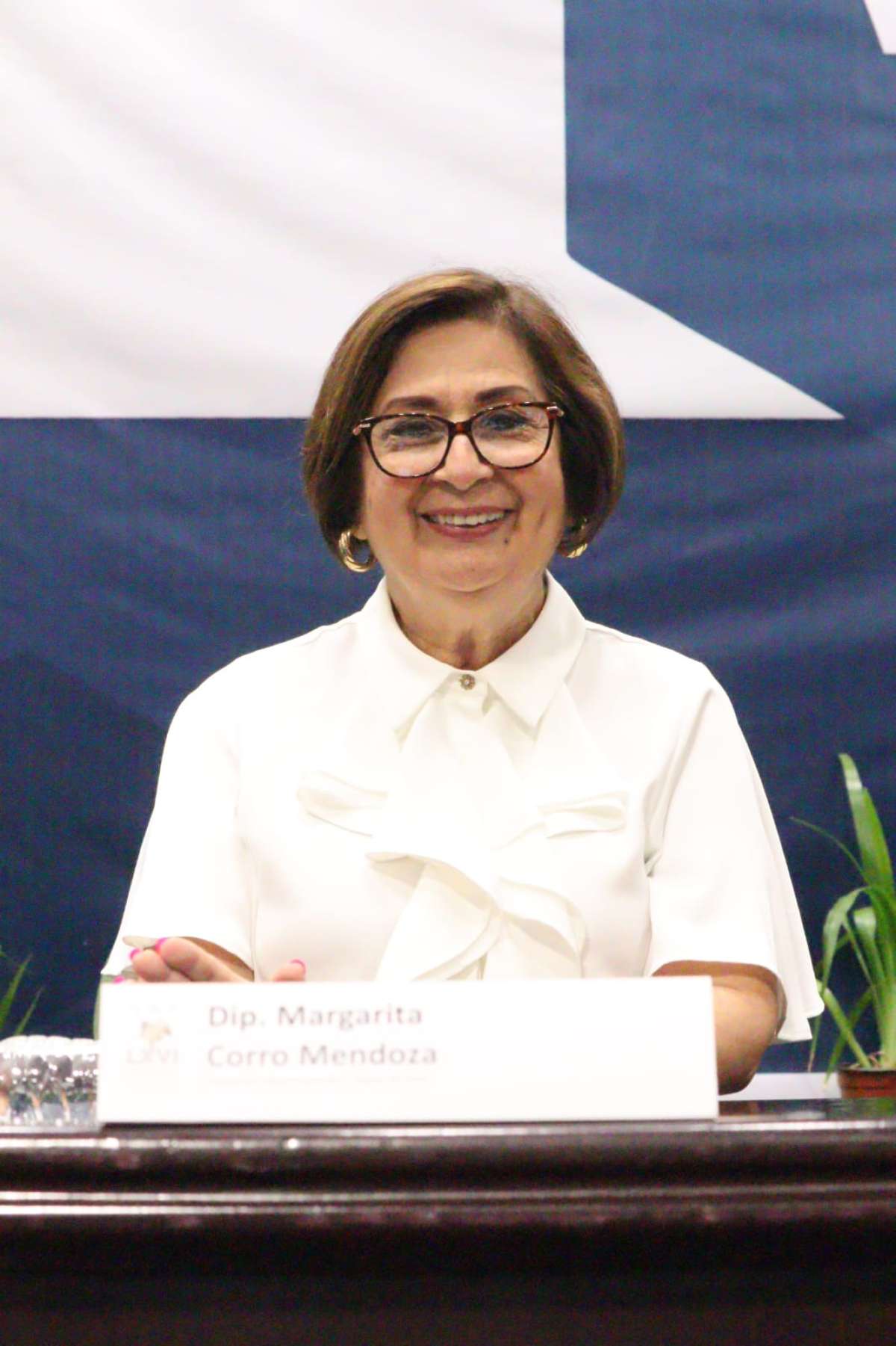 La corrupción, herencia neoliberal, se combate con transparencia y fiscalización efectiva: Mago Corro