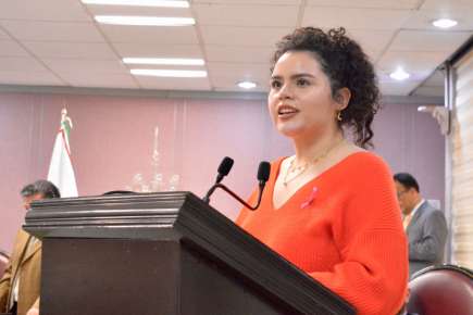 Exhorta Diputada a incrementar esfuerzos en el combate al dengue   