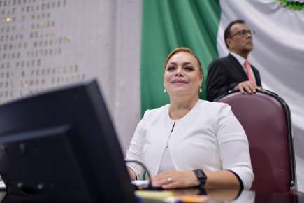 Plantea diputada que adultos mayores paguen la mitad de verificación vehicular