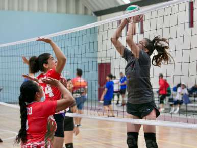 Alberga Xalapa Cuarto Circuito Estatal de Clubes de Cachibol