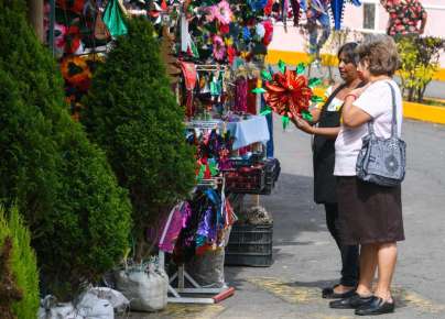 Inicia este viernes “Expo Pinos Navideños 2023” en el mercado La Isla