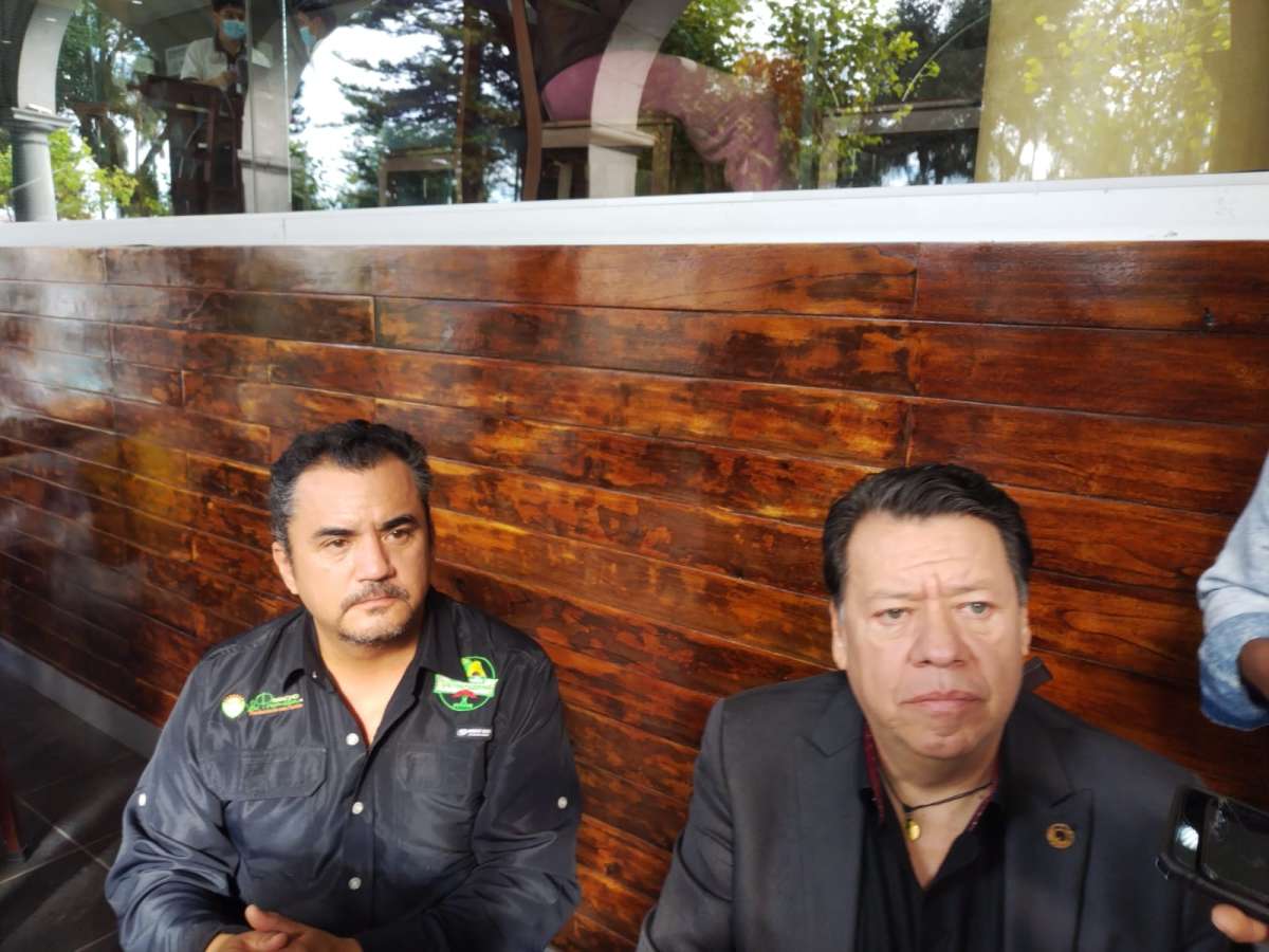 Comercializarán productores de aguacate directamente al consumidor a través de la venta solidaria los días 24 y 25 de noviembre en Xalapa    