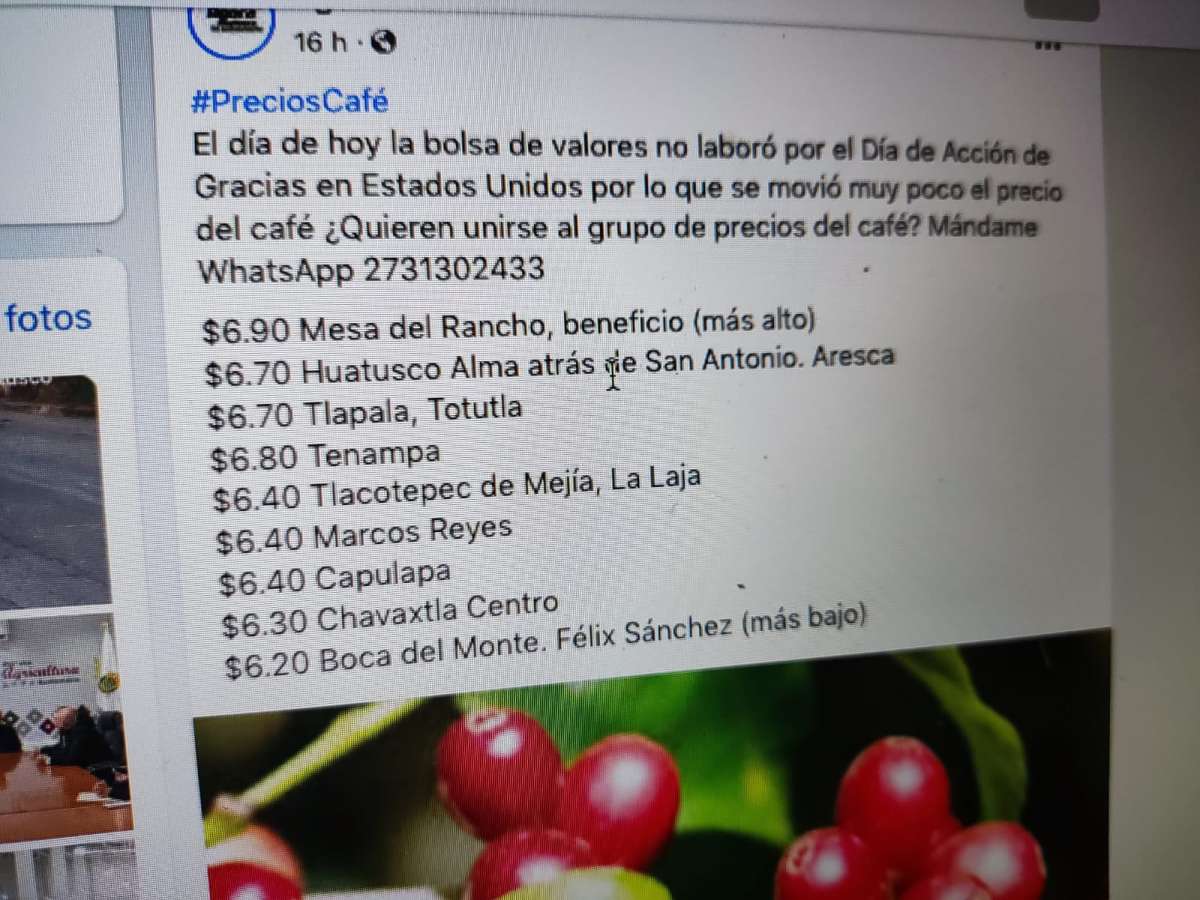 Cafetaleros nacionales enfrentan terrible crisis, precio se cotiza entre $6 y $6.90 por kilo de café cereza    