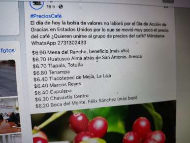 Cafetaleros nacionales enfrentan terrible crisis, precio se cotiza entre $6 y $6.90 por kilo de café cereza    