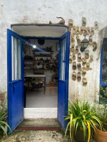 Actividades culturales en la librería Los Argonautas durante el mes decembrino