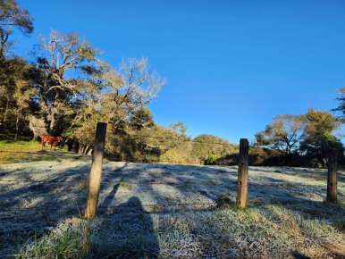 Temperaturas menores a los 3º se registran en la madrugada de este lunes cerca de Xalapa    