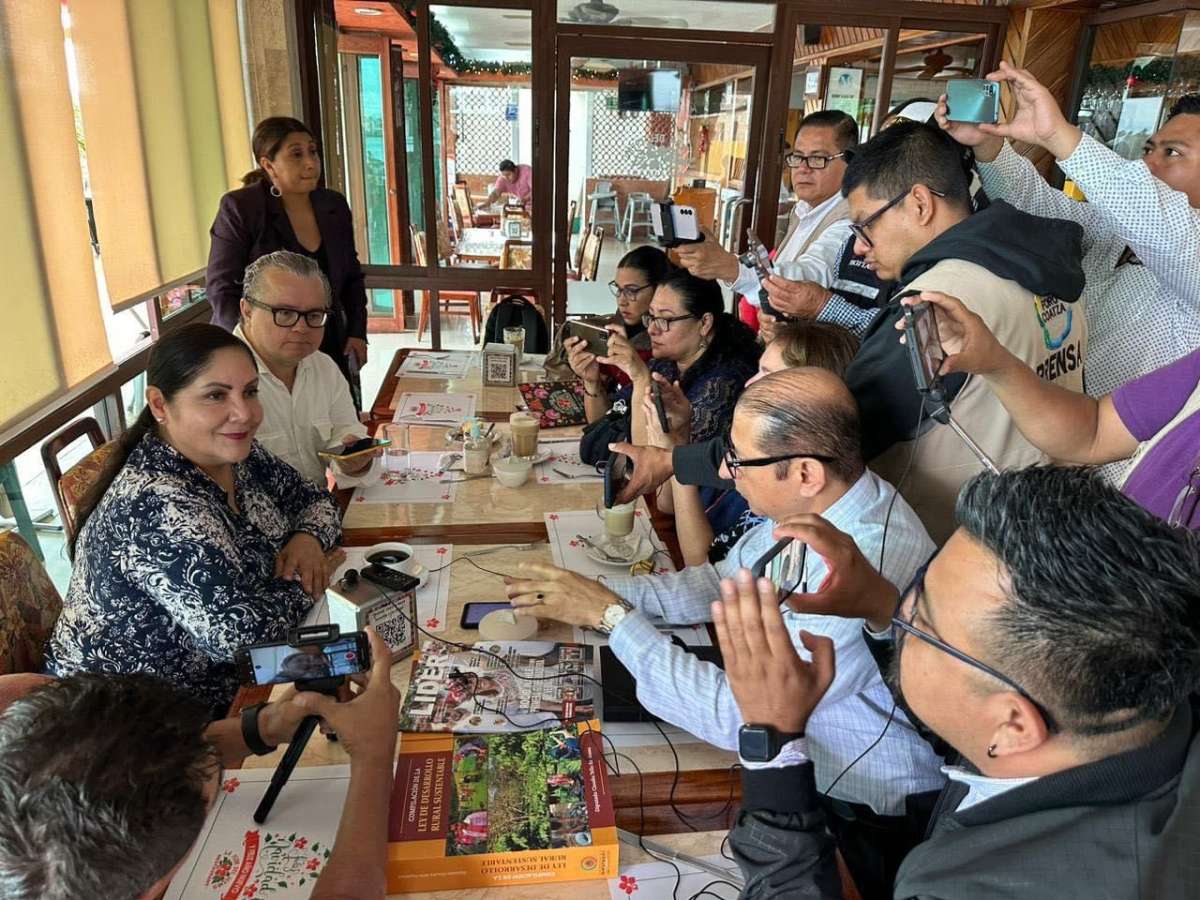 NO HAY OPOSICIÓN EN VERACRUZ AFIRMA TELLO