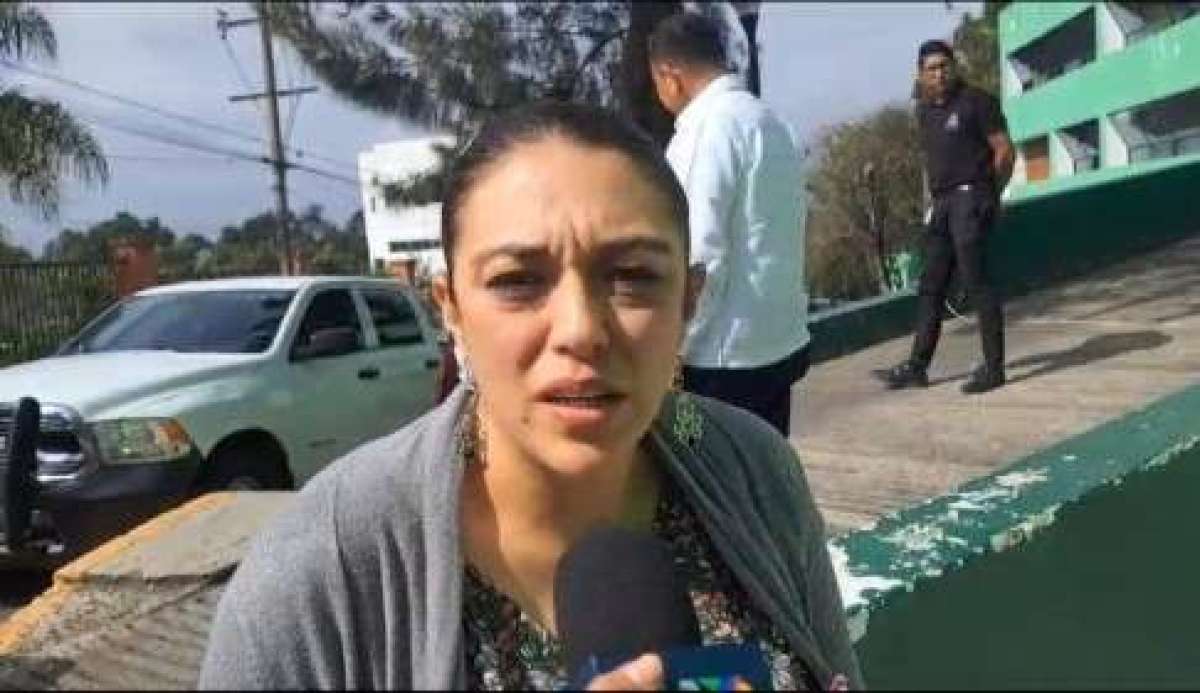 Frente Frío No. 25 deja solo caída de árboles a su paso por Veracruz    