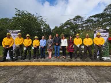 No deseches tu arbolito, llévalo a un centro de acopio y Recicla tu Navidad   