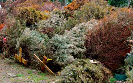 Inicia la campaña Recicla tu Navidad