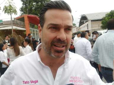 Fuerza por México irá solo en las elecciones de diputados locales    