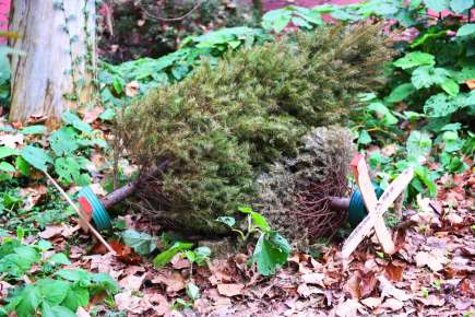 Invita Ayuntamiento a sumarse a la campaña Recicla tu Navidad