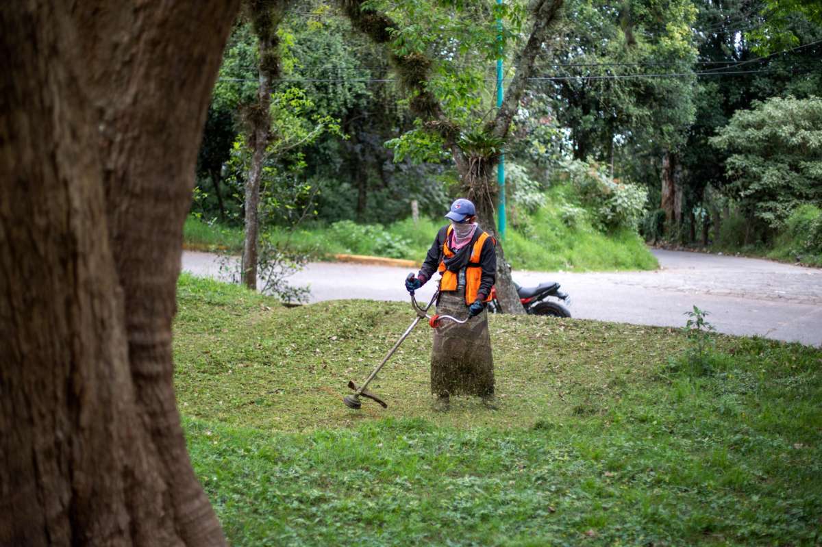 Mejora del ambiente, prioridad del Ayuntamiento