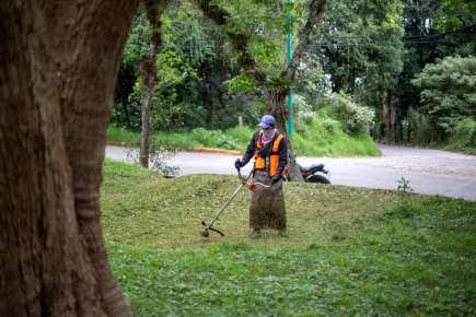Mejora del ambiente, prioridad del Ayuntamiento